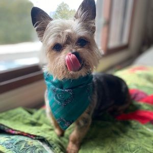 Meet your Posher, Cameron